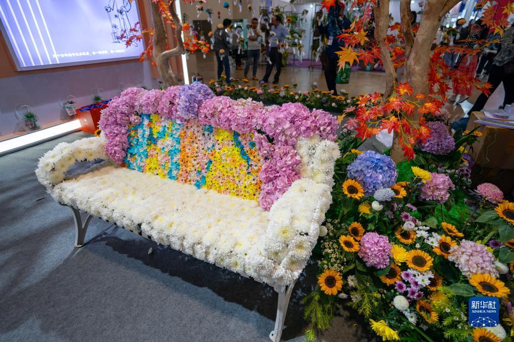 百家乐免佣意思
